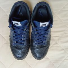 NIKE　ダンク　セミオーダー品　27cm