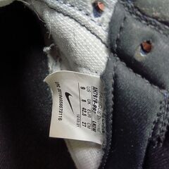 NIKE　ダンク　セミオーダー品　27cmの画像