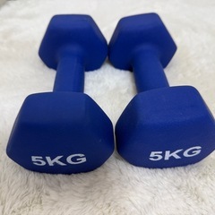 5キロダンベル2つ