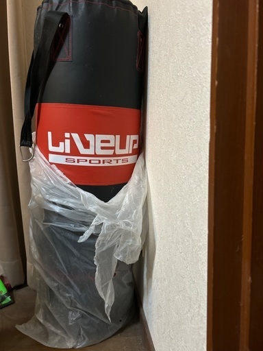 サンドバッグのみ　