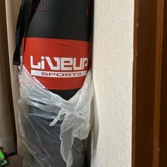 サンドバッグのみ　