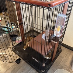 ウッドワンサークルキャットの中古が安い!激安で譲ります・無料 ウッドワンサークルキャットの中古が安い!激安で譲ります・無料