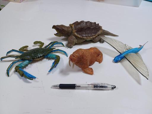 海の生き物フィギュア　セット