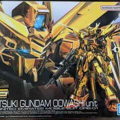 ガンプラ ＲＧアカツキガンダム オオワシユニット ゴールドメッキ版の画像