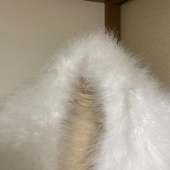 成人式　和装　ストール　一回使用の画像