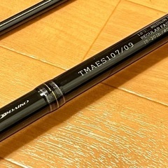 ダイコー(DAIKO) タイドマーク アルテサーノ エヴォルティアTIDEMARK TMAES107/09の画像