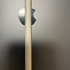 Apple pencil第2世代　アップルペンシル第二世代の画像
