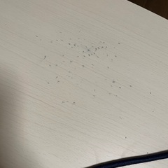 こたつの画像