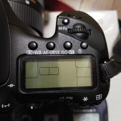 美品 CANON 7D Sigma17-50mm バッテリーグリップ付属の画像