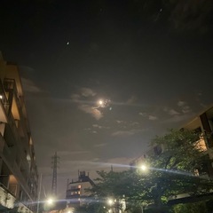 土日ゆる友募集（東急沿線） - 友達