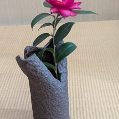 破裂砲弾の画像