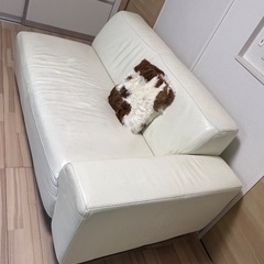 IDC大塚家具　ソファ　ホワイト/白　引き取り限定　品川区　西大井駅