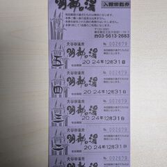 大谷田温泉 明神の湯 回数券5回分 使用期限2025/2/28まで