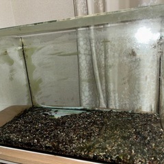 60×30cm GEX ガラス水槽　蓋付き