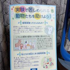 苦しめられている動物達を助けるメンバー