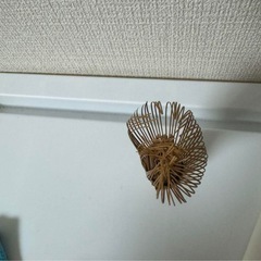 茶せん&懐紙　の画像