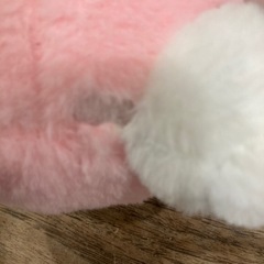 【もらってください】【引き取りに来れる方】マイメロ？ぬいぐるみの画像