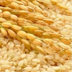 お米玄米30キロ