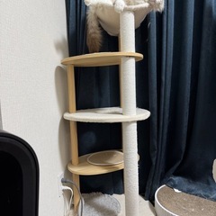 ネコタワー