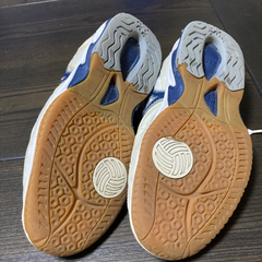 体育館シューズの画像