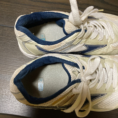 体育館シューズの画像