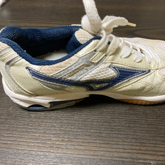 体育館シューズの画像