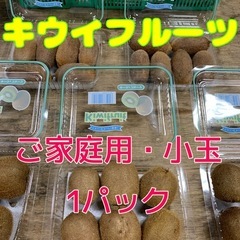 ☆和歌山県産キウイフルーツ☆小玉1パック（袋 ）☆