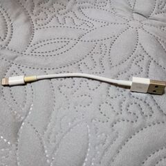 アップル社 純正品の充電器 10cm ほど