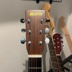 モーリス　アコースティックギターの画像