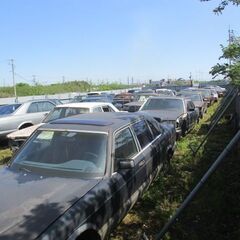 メルセデス-ベンツ126-560SEL部品取り車126系―業界一...