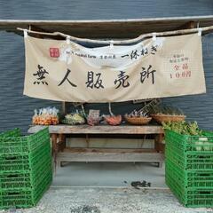 ★ALL100円 無人販売所★年内最終日