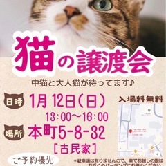 古民家で譲渡会