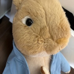 ピーターラビット　ぬいぐるみ　決まりましたの画像