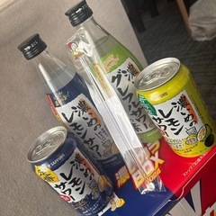 濃いめのサワーの素2本、チューハイ2本、
お皿、マドラーセット