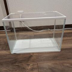 GEX  水槽　40センチ