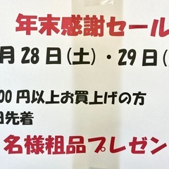 ヘラクレスヘラクレス♀ 極太極短血統【完売御礼】の画像
