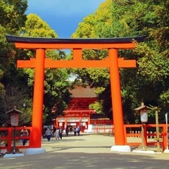 元旦の夕方から初詣行きませんか！