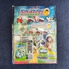 ポケモンフレンダ 限定品