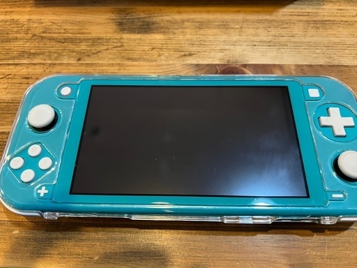 その他 Nintendo Switch light