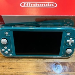 Nintendo Switch light