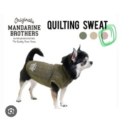 ドッグウェア
の画像