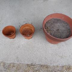 植木鉢【終了しました。】の画像