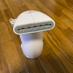 スチームアイロンの画像