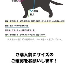 ドッグウェアの画像