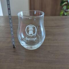 日本酒 グラス x1