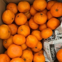 2回目　今日限り。野菜や、お菓子