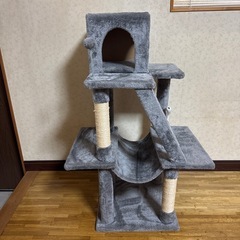 キャットタワー
