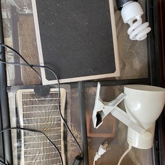 フトアゴヒゲトカゲ飼育セット リクガメ、爬虫類、両生類の画像