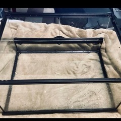 フトアゴヒゲトカゲ飼育セット リクガメ、爬虫類、両生類の画像