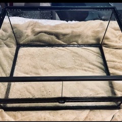 フトアゴヒゲトカゲ飼育セット リクガメ、爬虫類、両生類の画像